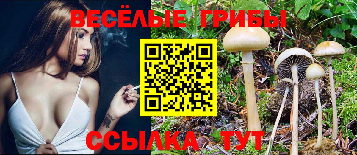 Галлюциногенные грибы MAGIC MUSHROOMS Саров