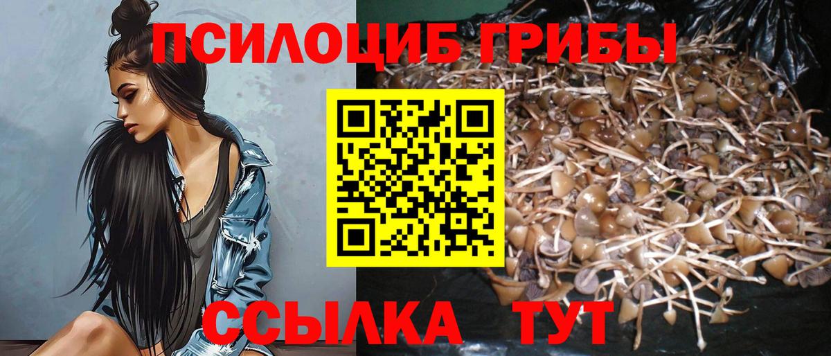 Псилоцибиновые грибы Magic Shrooms  Вход с VPN  Саров 